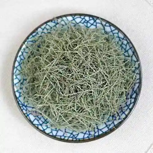 每日中药——柽柳