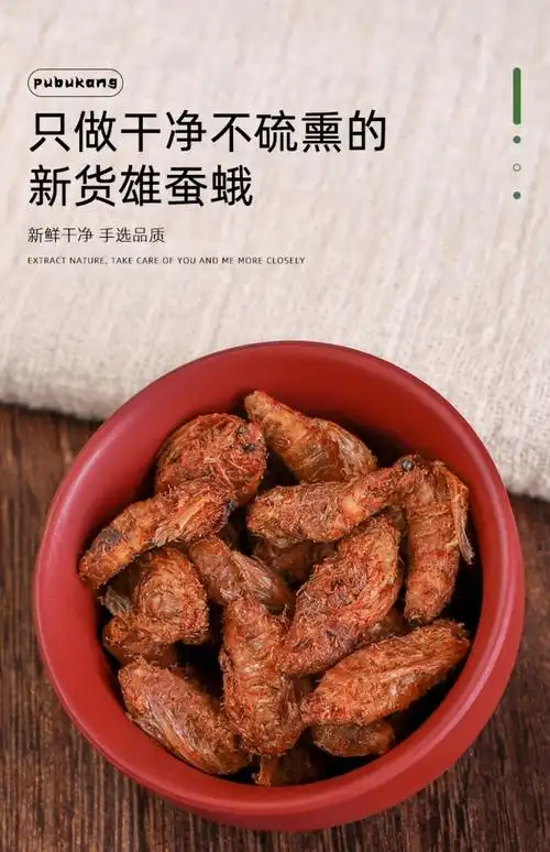 北京同仁堂北京同仁堂雄蚕蛾500g中药散装干蚕蛾公中药材泡酒料蚕蛾粉