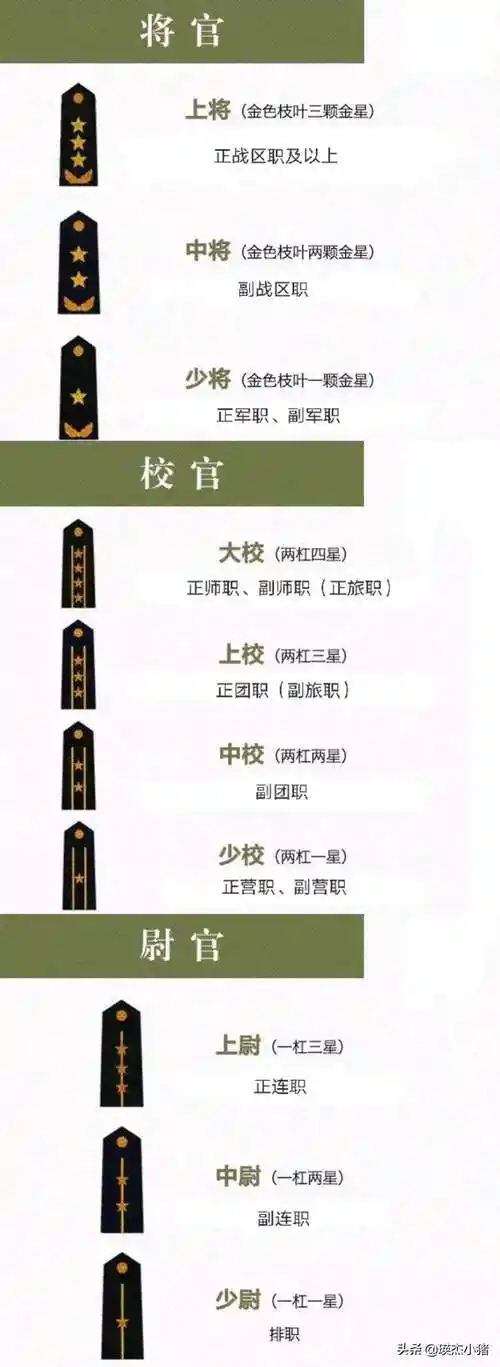 军衔等级排名从小到大(含军人的肩章级别图片)1