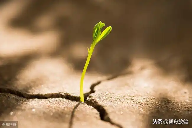 忍耐是人生逆境中的磨刀石