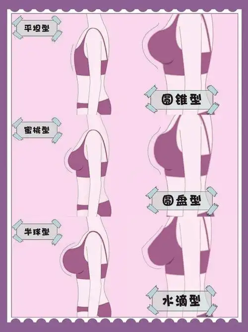 教科书式胸型大科普75进来学习叭75