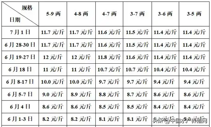 对虾泥鳅鮰鱼跌惨了,黑鱼黄颡鱼草鱼牛蛙也掉,市场一片哀嚎!