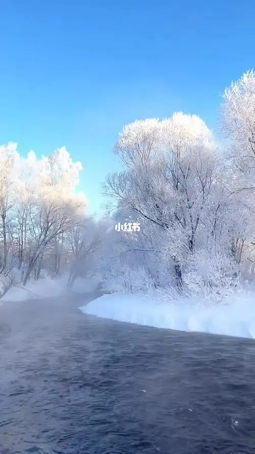 北方的雪景雾凇