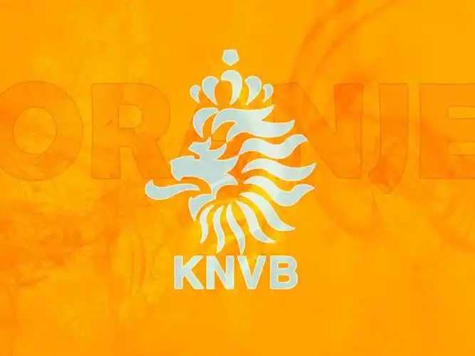 荷兰队,高清壁纸图片,足球-回车桌面