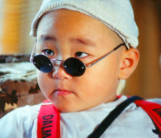 走过我们童年功夫小子,释小龙重出江湖,其余人都去哪儿了?