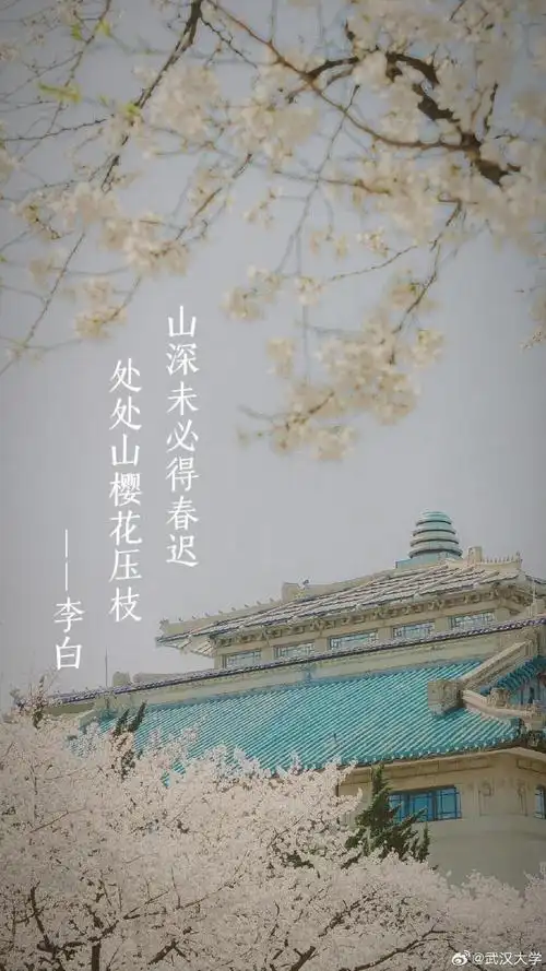 樱花碰上古诗词 唯美春日壁纸上新了|读书_新浪财经_新浪网