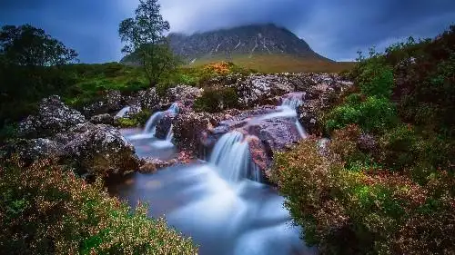 生肖狗生肖猴属虎人,但不用担心运势受影响;相反财运跟贵人运是非常棒