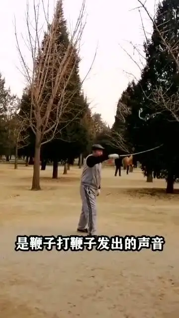 公园老大爷抽鞭子的声音其实是音爆!