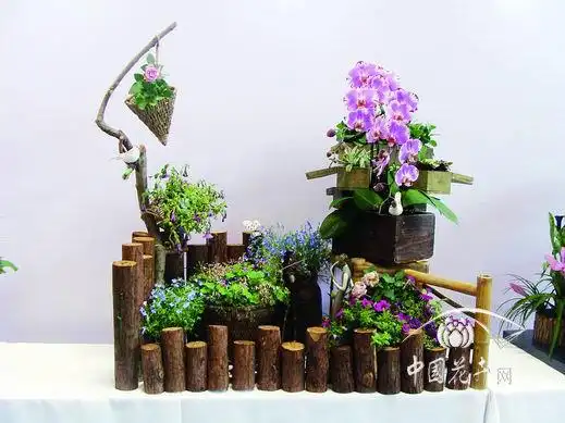 国际花展组合盆栽欣赏