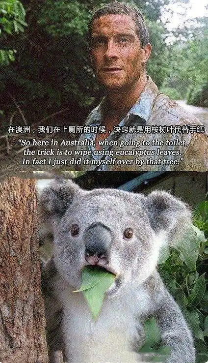 有哪些"笑死人,不偿命"的图片,话不多说,我们开始~ 来自考拉的震惊▼