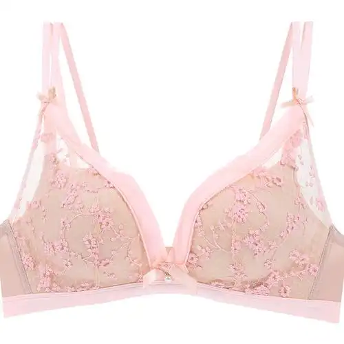 刺绣无钢圈内衣女日系少女甜美聚拢上托文胸性感蕾丝防下垂小胸罩-图1