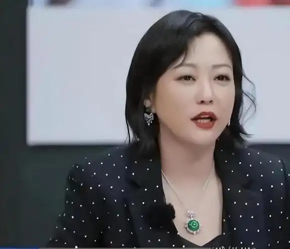 回顾郝蕾与刘烨离婚后独自抚养双胞胎儿子现在过得怎么样