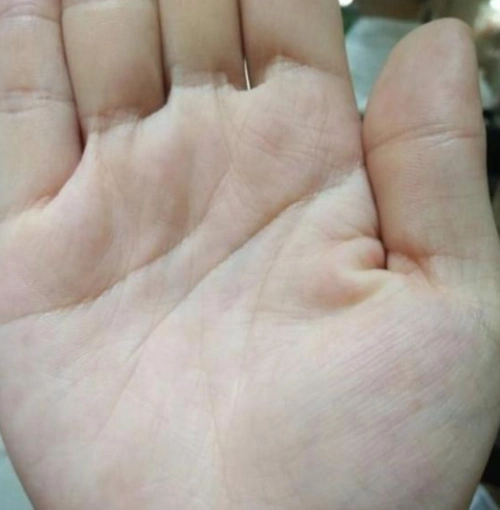 一生"儿女福"的手相,晚年富贵多金,儿女双全,命超好!