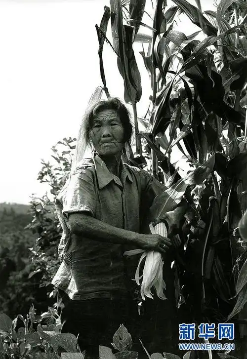 关注贫困摄影大赛作品选——当代中国农民生存状态_国内视点_中国广播