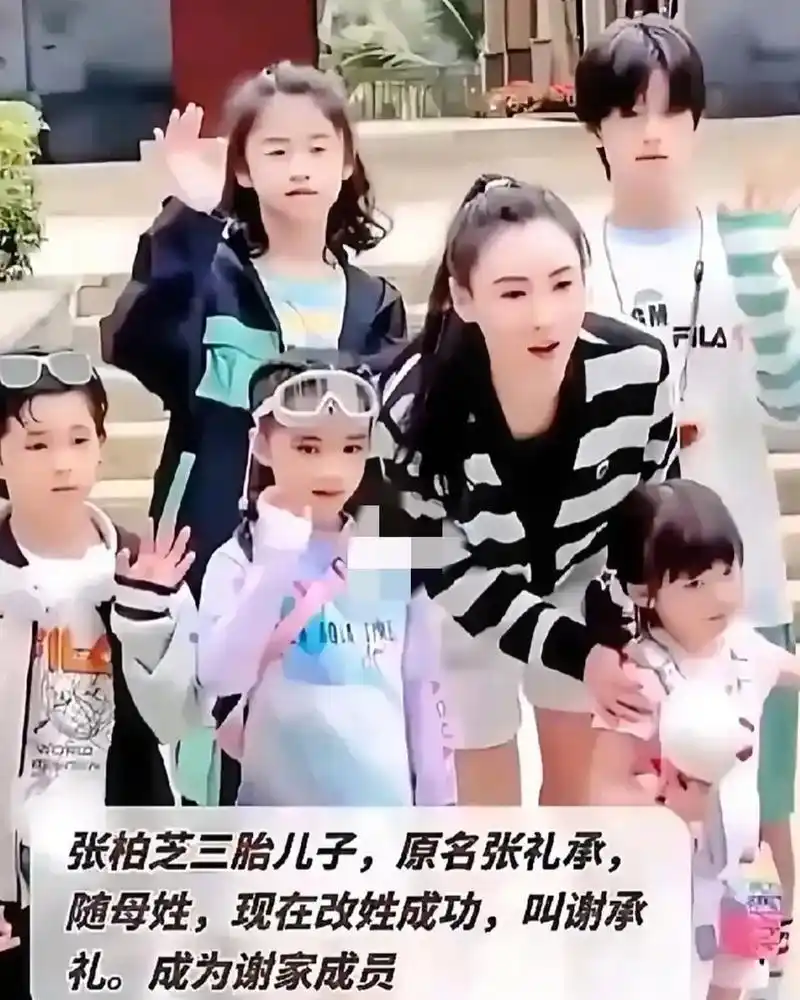 张柏芝三胎儿子现在终于改姓成功,改名叫作谢承礼,成为谢家成员!