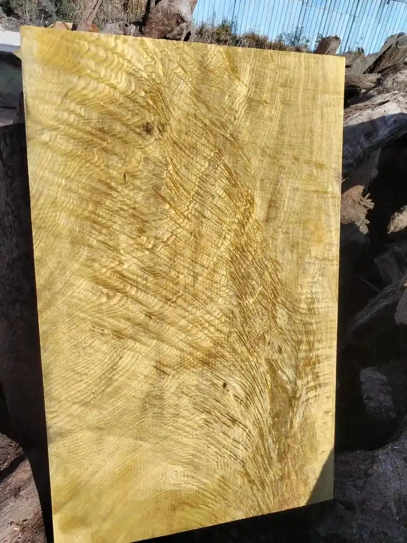 缅甸金丝楠木全方板,#真材实料 #以木会友 #金丝楠文化 两 - 抖音