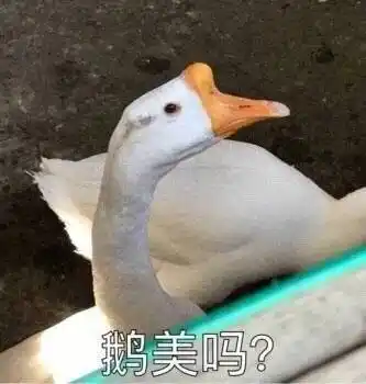 萌宠gif大鹅gif我美吗gif优雅gif呆萌gif可爱gif