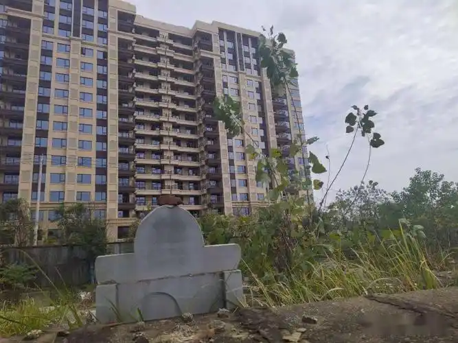 新洲区华发峰尚业主收房发现是墓景房, 窗户正对一片坟地_手机搜狐网