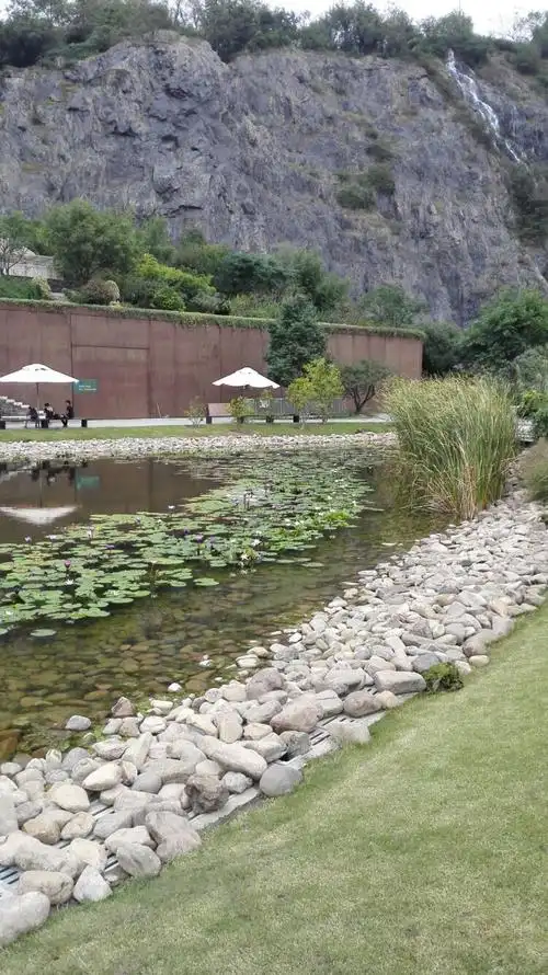 自然的卵石驳岸搭配水草,打造自然感.