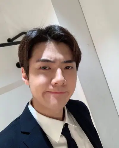 吴世勋/5巡撩人皮衣 高清头像啦啦啦 真直男自拍 卷毛勋 空降粉丝群被