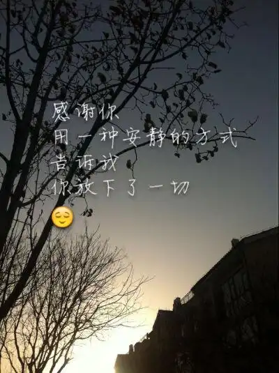 感谢你用一种安静的方式告诉我你放下了一切.
