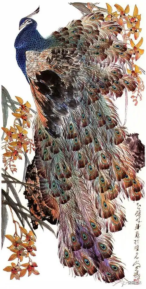 孔雀国画选页欣赏|中国画|国画家|花鸟画家|美术家_网易订阅