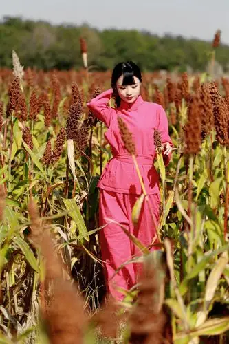 红高粱摇曳在秋的枝头 莫言点燃了红高粱的灵性 用绚丽迷人的色彩