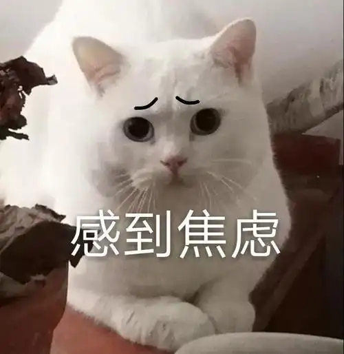 心里还有点忐忑