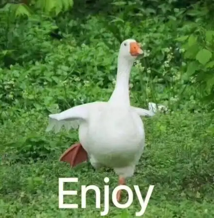 enjoy - 鹅鹅鹅~ 肥鹅表情包_鹅表情