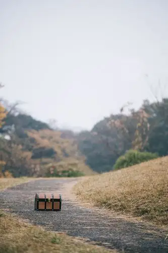 一个放在道路中间的宝盒(显然是一个陷阱)