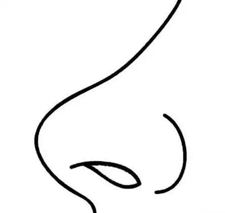 简笔画画鼻子_画鼻子的简笔画图片