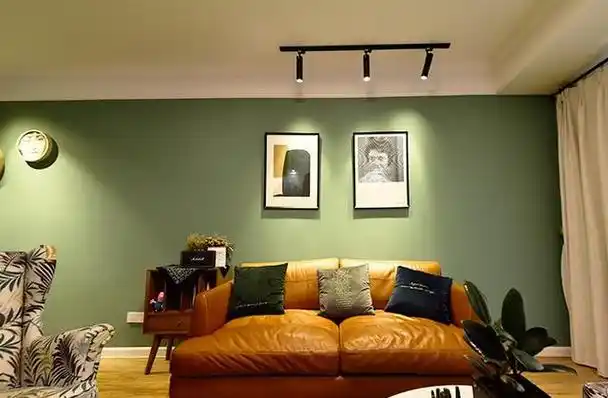 今年最流行的客厅乳胶漆颜色(几款经典的客厅乳胶漆颜色)(8)