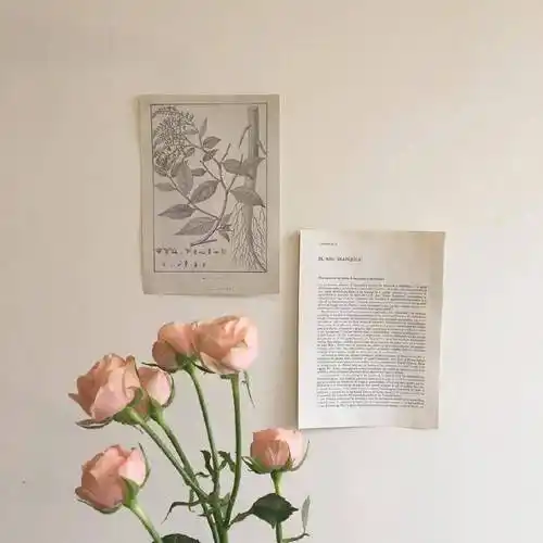 唯美意境微信朋友圈背景图