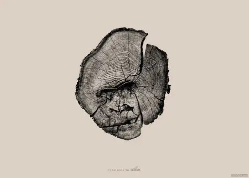 72个国外优秀创意广告设计作品 [72p] 4/4 - 平面设计