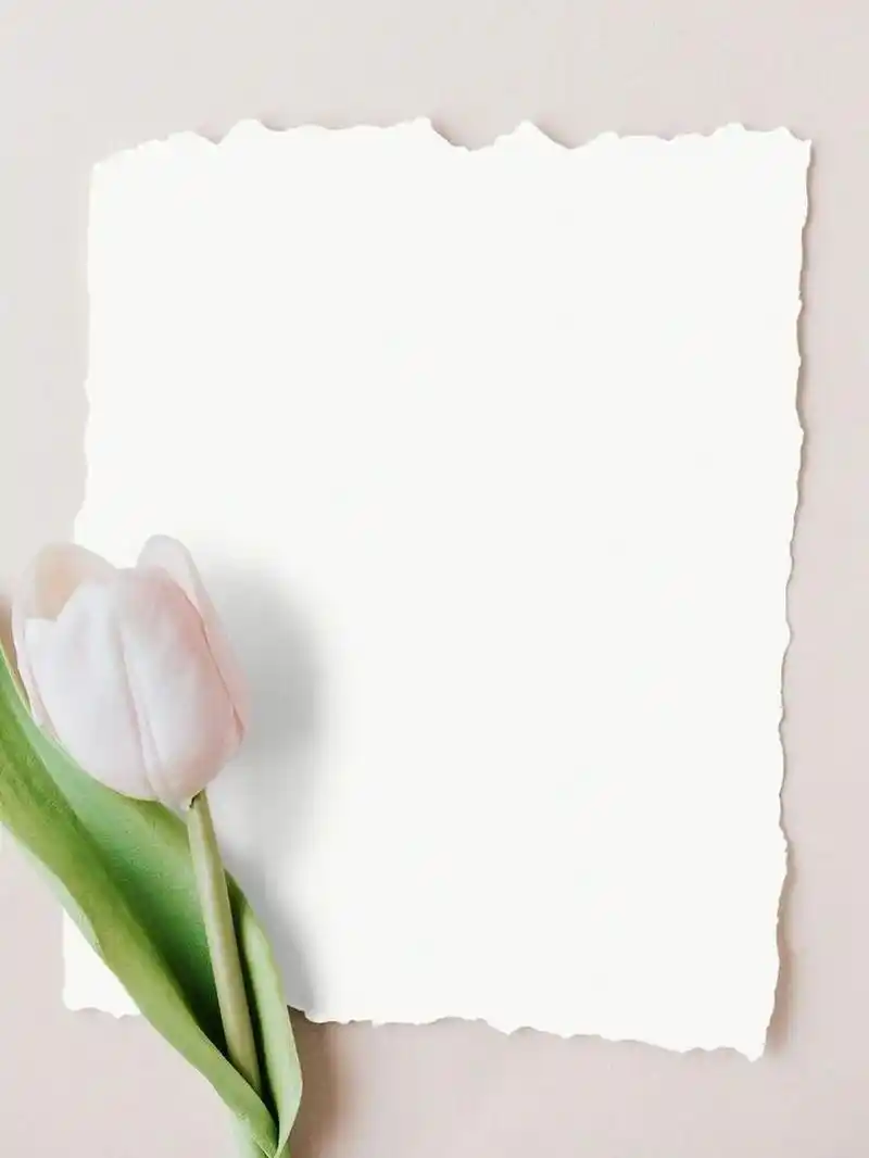 甜心美学营# #甜心美学密甜# #背景图分享# #素材分享# #书单# #本鞍