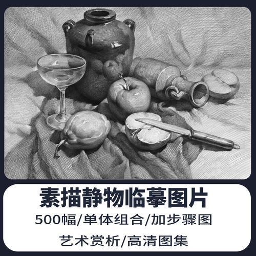 素描静物组合高清电子版图片素材单体结构临摹步骤图美术艺考范画