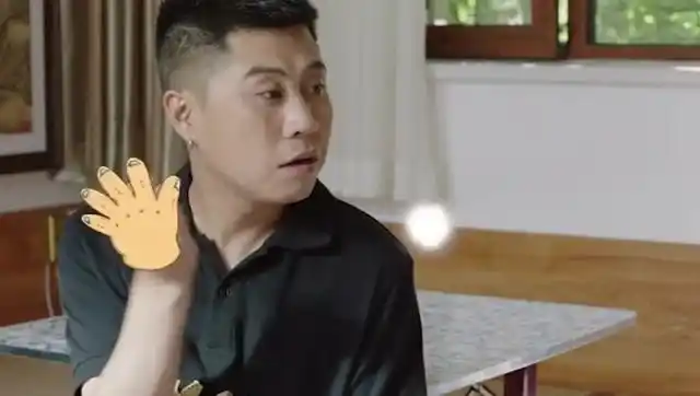 刘老根3:老根让药丸子帮忙,去山庄处理事情,没想到药丸子这手势亮了