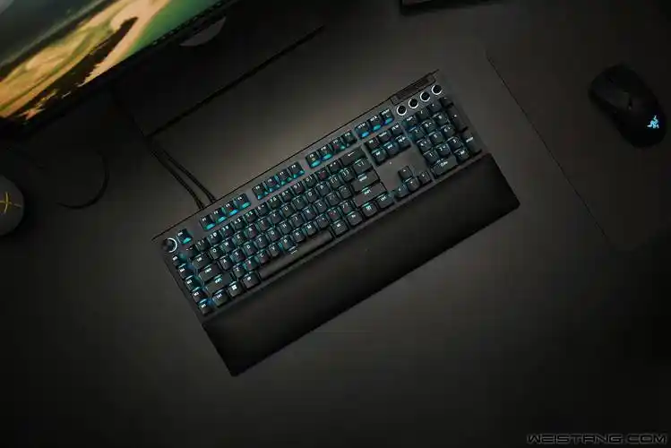 键盘无疑是当今日益内卷的外设圈中的新鲜血液,雷蛇总是能赋予玩家