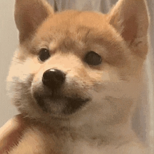 转采于2021-01-17 16:52:42(70 封私信 / 80 条消息) 有哪些搞笑的动