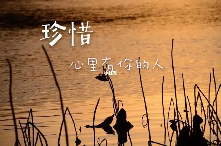 心里有你的人会这样联系你