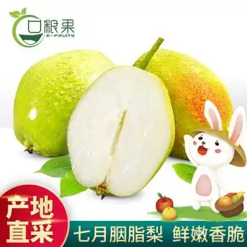 单果120g起,口粮果 七月胭脂梨 4.5斤