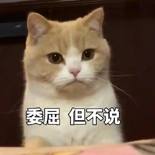 萌宠gif喵星人gif委屈但不说gif憋屈gif可爱gif呆萌gif