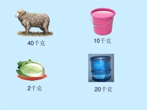 生活中重100克,500克,一千克的东西有哪些