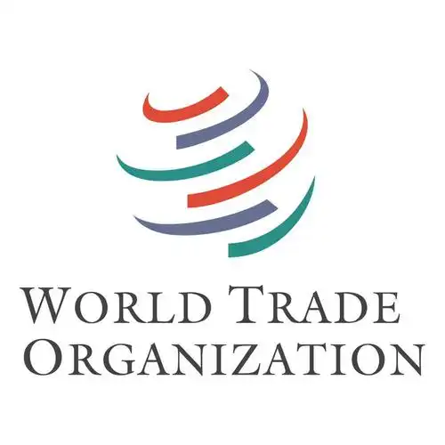 an essay / article on the world trade organization (wto)