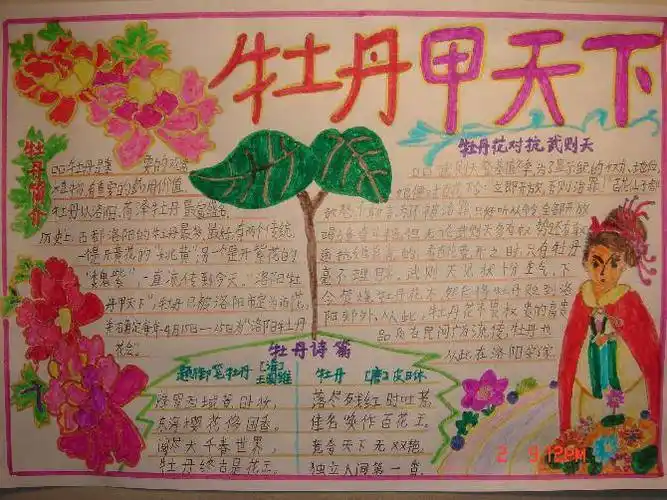 洛阳牡丹甲天下---我的手抄报-醉书仙子mm-洛阳市东方第二小学