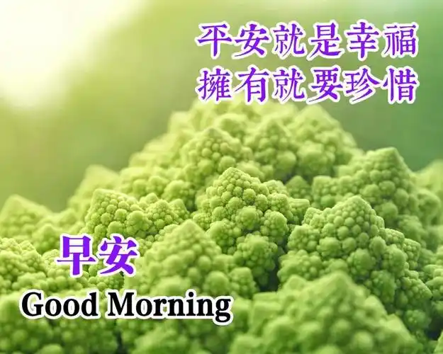 8月3日今日早上好祝福语图片表情合集最美早安问候图片