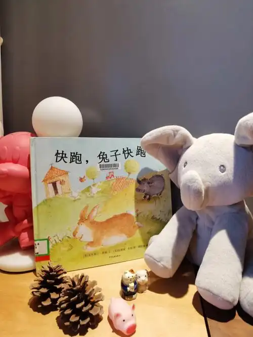 绘本阅读这是我读过最有趣的兔子故事