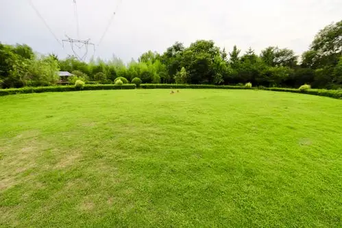 适合大型户外婚礼的草坪 您想怎么摆就怎么摆 您想请多少人都装得下