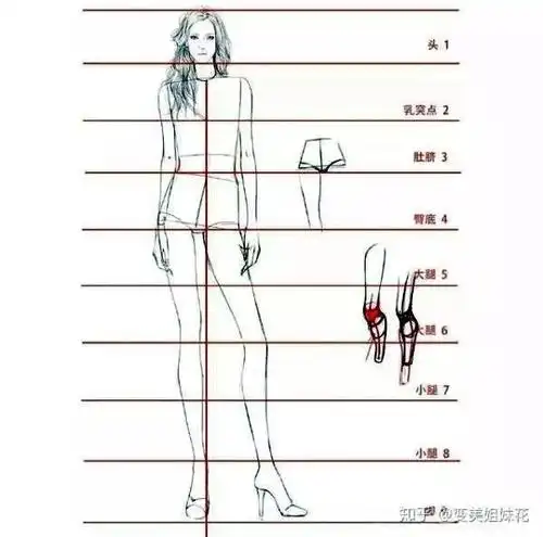 谁的身材比例能够达到完美的九头身?