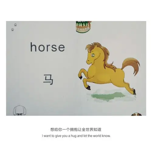 单词:  马   horse